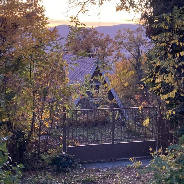 Chillak from the street