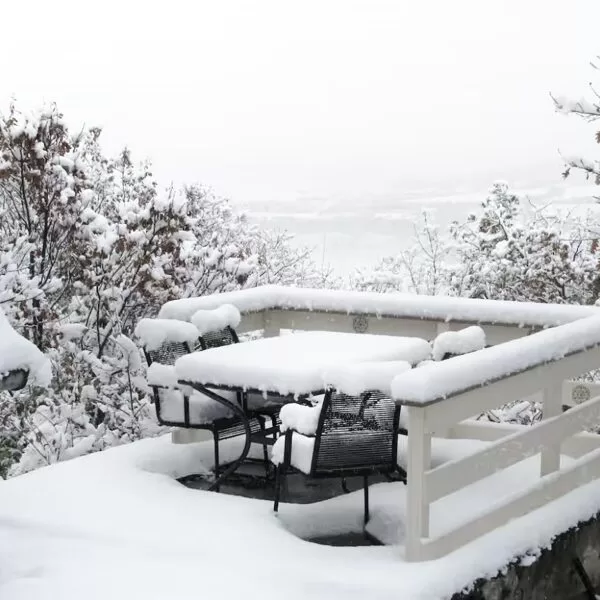 Winter